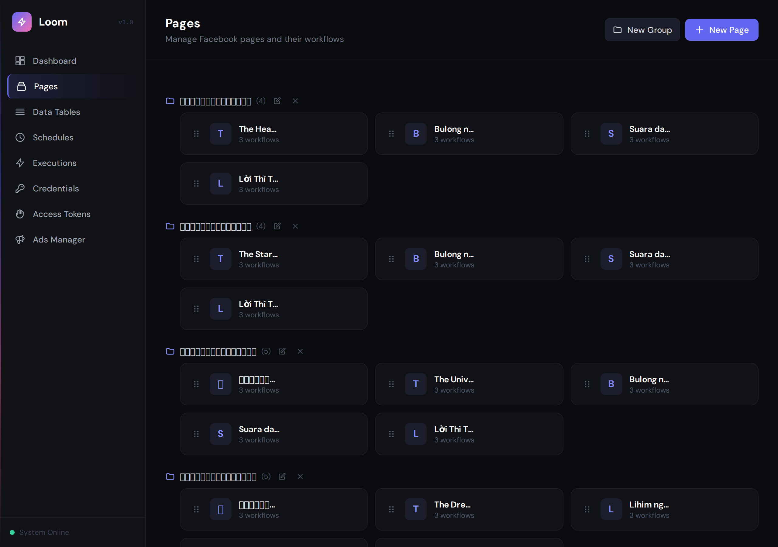 Loom dashboard managing 23 Facebook pages across 5 languages